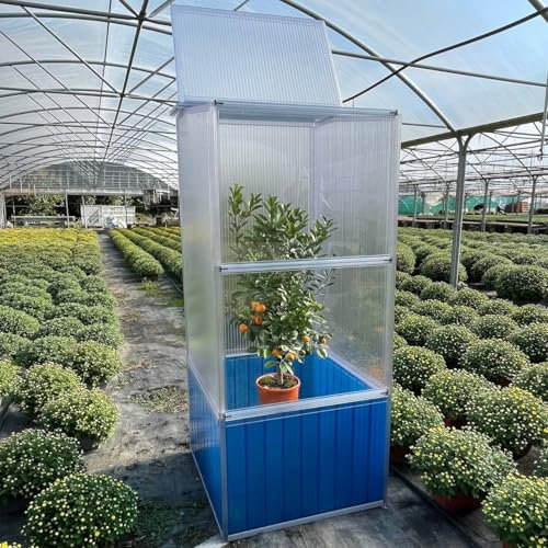 Il Giardino delle Idee Serra per agrumi in Policarbonato 16mm Citronella da balcone con sottovaso. Dimensioni 60x 60xh159/151cm.