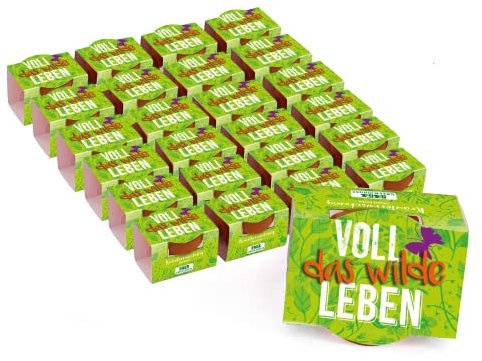 Bull & Bear 25er Set Mini Pflanzset 'Voll das wilde Leben' Kräutermischung im Topf 4,5cm, Kräutersamen als Anzuchtset mit Pflegeanleitung