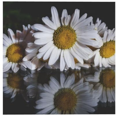 Esasam Quadratisches Leinwand-Poster, Motiv: Chrysantheme, rahmenlose Wandkunst für moderne und farbenfrohe Heimdekoration