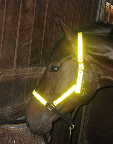 BUSSE Halfter REFLEKTION