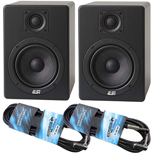ESI Aktiv05 Studio Monitor-Boxen 1 Paar + 2X keepdrum Klinkenkabel