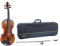 GEWA Violine, Violingarnitur Serie Maestro 2 VL 4, 4/4 Spielfertig inkl. Violinkoffer, Carbon Bogen und Il Cannone Saiten