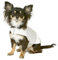KARLIE Hundemantel SHINY Noble Line weiss 37cm