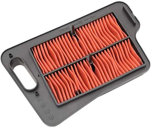 AIR FILTER AN400 BURGMAN