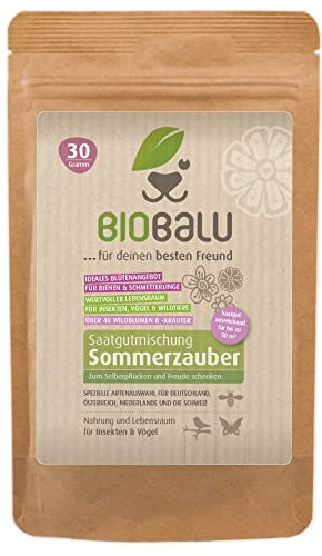 Biobalu Sommerzauber - Bunte Blumenwiese Samen - Über 40 Sommerblumen zum Schneiden & Pflücken, Sommerblumenmischung, Schnittblumen Samen, Blühwiese mehrjährig & bienenfreundlich, Blumensamen 30 g