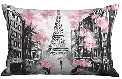 Lot De 2 Housse De Coussin Peinture Paris Ville Européenne Paysage France Tour Eiffel-Rose Gris Housse Coussin Imprimé Confortable Taies Doreiller, pour Salon, Lit, 60x40cm