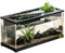 Petit aquarium en acrylique transparent, taille moderne, filtre intégré, eau propre, zone hydroponique, pompe à air, alimentation optimale en oxygène, parfait pour le bureau