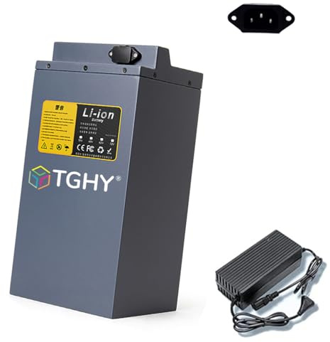 TGHY Batteria al Litio per Moto elettrica 60V 15Ah 20Ah 25Ah 30Ah 35Ah 40Ah 45Ah 50Ah 55Ah 60Ah 65Ah Batteria agli ioni di Litio con Caricabatterie per Motore 0-3900W,60v 65ah