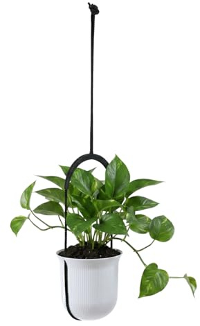 LAMELA Pot Suspendu en Plastique Rayé - Suspension Robuste - Ø 18 cm x H 17,3 cm, 2,3 L - Hauteur Réglable & Résistant - Intérieur et Extérieur - Blanc