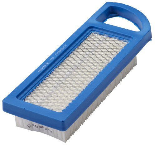 Briggs & Stratton Cartuccia Filtro dell’Aria Originale 795115 Briggs And Stratton