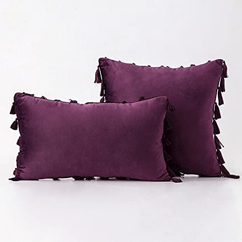 Bestenrose 2er Set Samt Kissenbezug mit Quaste Kissenhülle Dekorative Dekokissen Kissen Couchkissen Sofakissen für Wohnzimmer Schlafzimmer (50x50cm, Lila)