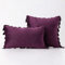 Bestenrose 2er Set Samt Kissenbezug mit Quaste Kissenhülle Dekorative Dekokissen Kissen Couchkissen Sofakissen für Wohnzimmer Schlafzimmer (50x50cm, Lila)