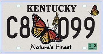 OPO 10 - USA Auto KENNZEICHEN - 30x15 cm Metall Replik: Kentucky (C21)