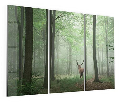 DEQORI Glasbilder Echtglas | Motiv Hirsch zwischen Bäumen | horizontal 3-teilig 150x100 cm | große XXL Deko | Wandbilder für Wohnzimmer, Schlafzimmer, Flur & Küche | moderne Wanddeko