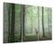DEQORI Glasbilder Echtglas | Motiv Hirsch zwischen Bäumen | horizontal 3-teilig 150x100 cm | große XXL Deko | Wandbilder für Wohnzimmer, Schlafzimmer, Flur & Küche | moderne Wanddeko