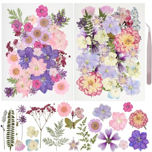 50 Stück getrocknete gepresste Blumen, Harzform, echte gepresste Blumen, natürliche trockene Blätter, gemischt, bunte Gänseblümchen, Kräuter-Kit mit Pinzette für Scrapbooking, DIY, Kerzen, Schmuck,