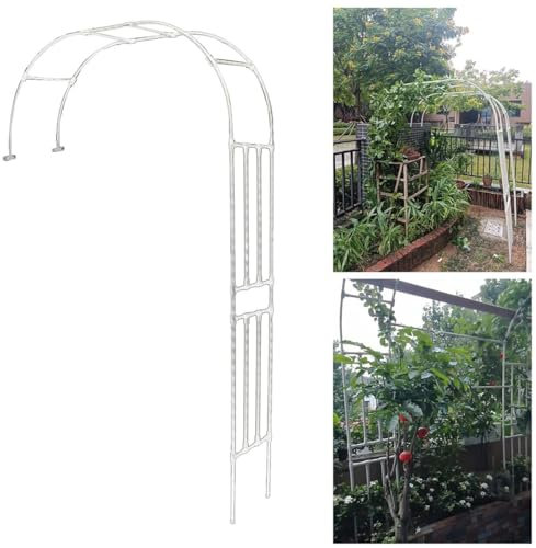 Rosenbogen Halbrund, Gartenbogen aus Metall wetterfest, Torbogen Rankhilfe für Freistehend Kletterrosen und Clematis Rosenspalier W220xH240cm W240xH240cm W250xH240cm ( Farbe : Weiß , Größe : W200xH240