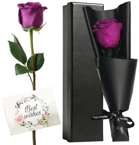 HIVTE Rosa Eterna Vera Conservata con Stelo Viola, Rosa Stabilizzata Reale, Regalo Originale per Lei, Mamma, Fidanzata, Anniversario, San Valentino e Compleanno