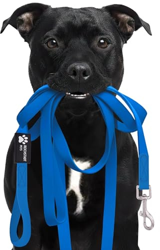 Reichstadt Pets Robuste PVC Hundeleine für Hunde – wasserabweisend, rutschfeste Oberfläche | 360° Edelstahl-Karabiner, pflegeleicht & wetterfest 25RSP086 Blue 10m