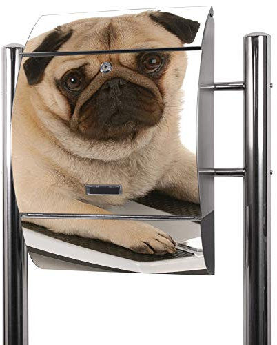 banjado® Standbriefkasten Edelstahl mit Zeitungsfach Motiv Mops/Briefkasten mit Standfuß/Edelstahl Briefkasten freistehend - A4 Einwurf inkl. 2 Schlüssel