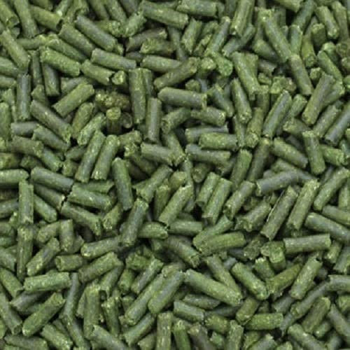 Premium Futtersticks Gerstengras (50 Gramm) Futterpellets Garnelenfutter Fischfutter