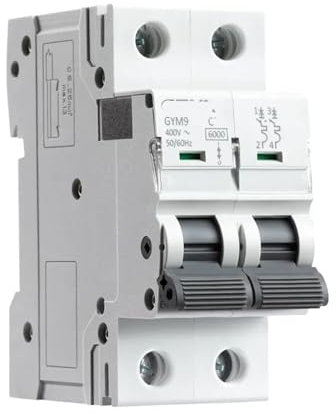 IONQXIDLD Disjoncteur sur Rail Bipolaire GYM9 230V 6A-63A Type AC(25A)