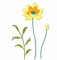 XMZZMX Lotus-Pflanzen-Metall-Stanzformen für Kartenherstellung, Papierprägestanz-Set, Vorlagen, Aufbewahrungstaschen, Zubehör, Fotorahmen, Album, DIY, Scrapbooking, Schablonen-Sets