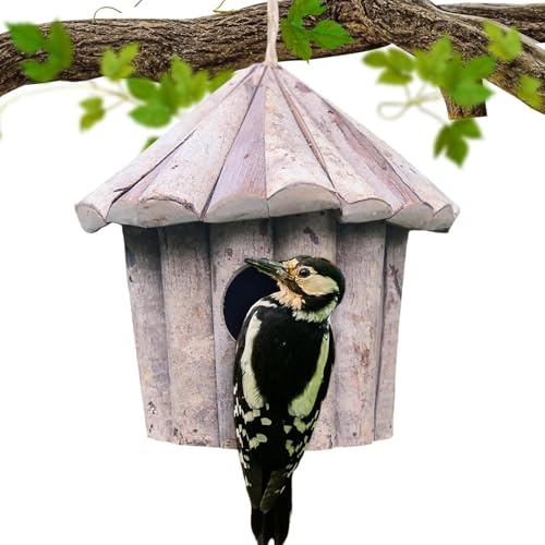 Kolibri-Haus mit Dach und Nistkasten aus Holz - Gartendekoration | für Garten, Hof, Winter, Fenster, Finken, Wellensittich, Vogelliebhaber