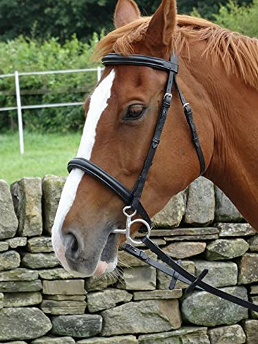 Turners Stunning Black Leather Snaffle Cavesson Horse Riding Bridle with Reins (Cob)