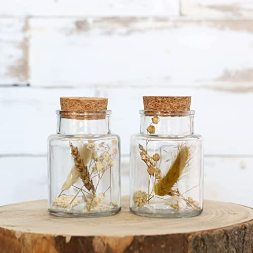 comforder Trockenblumen im Glas mit Korken 2er Set, getrocknete Blumen-Deko in breitem Glas (klein/Natur)