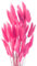 ROOBZE Pampasgras Kaninchenschwanz Gras schmücken 50 Stücke natürlich Getrocknete Blumensträuße，Deko Trockenblumen Trockenblumenstrauß für Schlafzimmer Indoor Hochzeit Home Decoration (Rot)