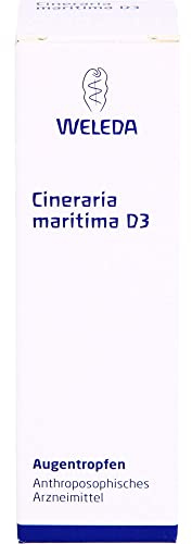 CINERARIA maritima D 3 Augentropfen 10 ml