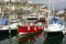 Grovely/ Great British Jigsaws Mevagissey Harbour 1000 piece Jigsaw