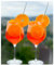 Topkapi Terrazza Bicchieri Aperol Spritz, Cristallo Senza Piombo, 62,5 cl