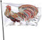 Hahn-Flagge 3x5 FT Tier-Huhn mit böhmischer aztekischer ethnischer Feder für Neujahrs-Flaggen im Freien,Hausgarten,Hof,Rasen,Dekoration