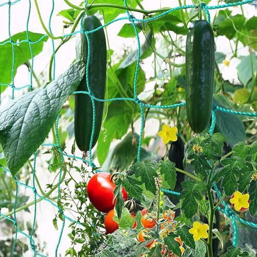Ranknetz für Gurken, 2×2.5m Pflanzennetz Schützt Gemüsepflanzen und Obstbäume, gurkennetz für gewächshaus im Freien und im Innenbereich ranknetz für kletterpflanzen