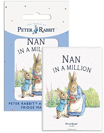 Fridge Magnet (65 x 90 mm) - Beatrix Potter - Peter Rabbit - NAN in a MILLION