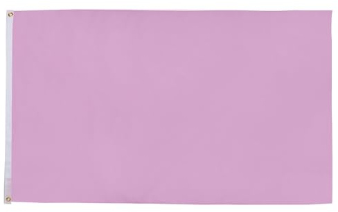 AZ FLAG Flagge Einfarbig Rosa 250x150 cm Einfarbig Polyester 100D 2 Ösen