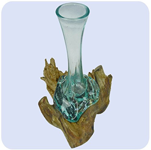 Wurzelholz Glas-Vase Wurzel-Vase Deko-Glas Geschenk Unikat Objekt Design Blumenvase Karaffe