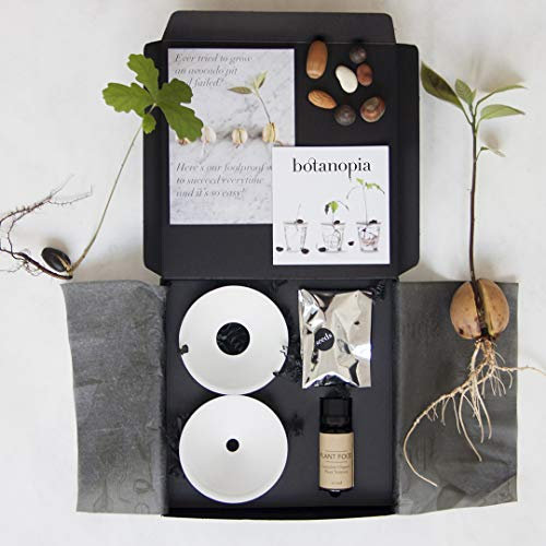 Botanopia Coffret Cadeau de Luxe pour Germination et boutures dans l’Eau - Kit de Germination pour Culture dans l'eau - Plateau de Germination pour Plantes en hydroculture