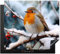 KitchenYeah© Protege Plaque Induction 60x52 cm Decoration Cuisine Tapis de Protection Pour Plan De Travail Cuisson Protégé Rouge-gorge - Hiver - Neige - Oiseau - Nature