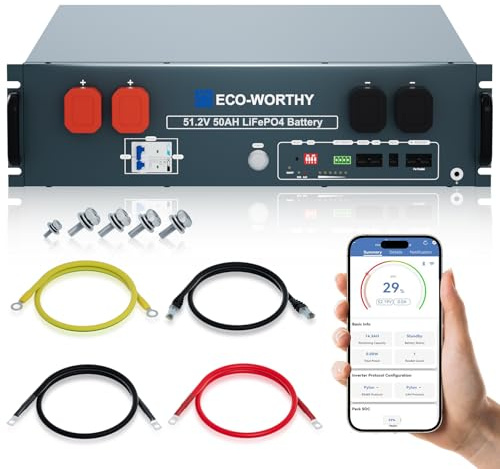 ECO-WORTHY LiFePO4 48V 50Ah Bluetooth mit 100A BMS,2,56KWh 48V Lithiumbatterie Serverschrank Solarbatterie für Solaranlage Komplettset,Photovoltaikanlage
