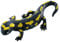 Bullyland 68493 - Spielfigur Feuer-Salamander, ca. 10,6 cm große Tierfigur, detailgetreu, PVC-frei, ideal als kleines Geschenk für Kinder ab 3 Jahren
