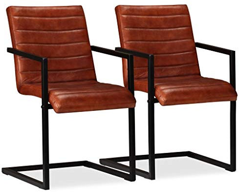 Festnight 2er Set Echtleder Esszimmerstühle mit Stahlrahmen | Polsterstuhl Schwingstuhl Essstuhl Küchenstuhl 51 x 56 x 91 cm Braun