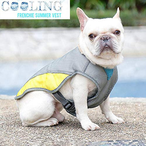 Hifrenchies Kühlweste Geschirr für Hunde Französische Bulldogge Sommer Kühlweste Outdoor Hundejacke Sicherheit Reflektierende Weste Kühljacke Sonnenschutz Haustier Mantel Weste für Frenchie (L)