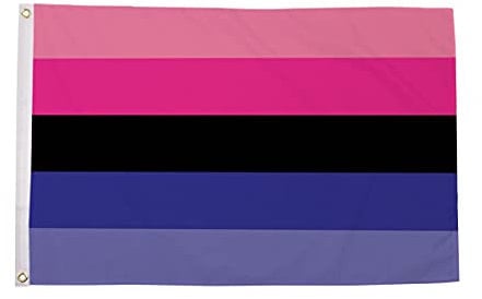 Omnisexual Pride Flagge, 150 x 90 cm, 100 % Polyester