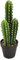 Atmosphera - Cactus Artificiel H42 cm - Modèle 2