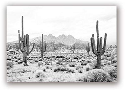 Rumlly Noir blanc désert paysage impression photographie moderne affiche Saguaro Cactus Art toile peinture photo maison mur Art décor 30x45 cm sans cadre