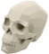 NUOBESTY -Modell Skizzen-skulptur Kunstharz Basteln Zeichnen Statue für Kunststudenten Heimdekoration Ornament