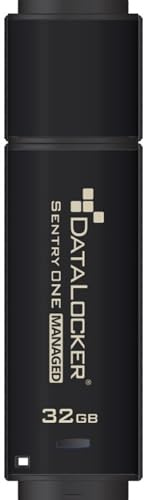 DataLocker Sentry ONE 32GB 3.0 (3.1 Gen 1) USB Type-A Connector Black USB Flash Drive - USB Flash Drives (32 GB, 3.0 (3.1 Gen 1), USB Type-A Connector, Cap, 54 g, Black)